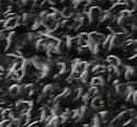 Black carpet infill colour